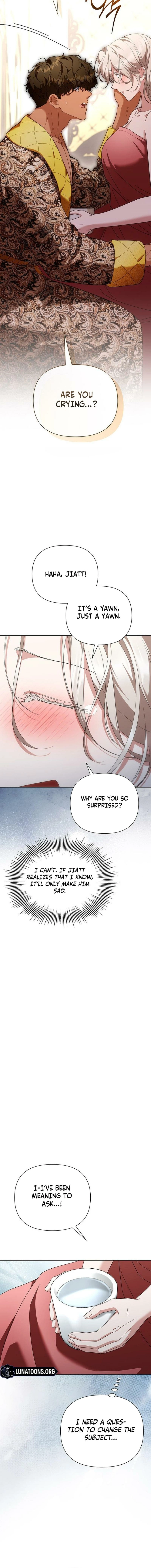 The Tutor