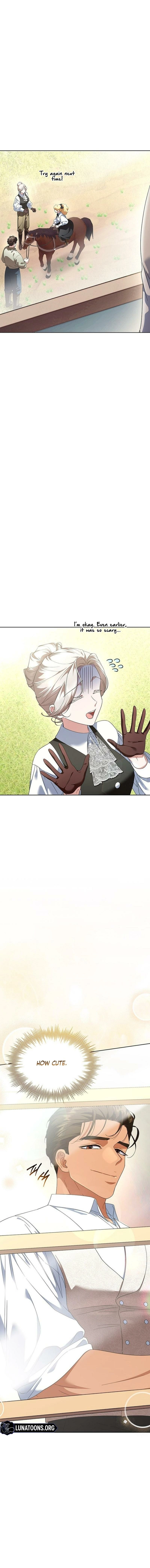 The Tutor