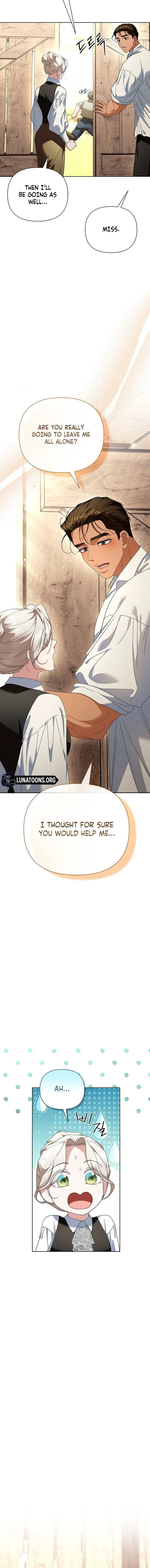 The Tutor