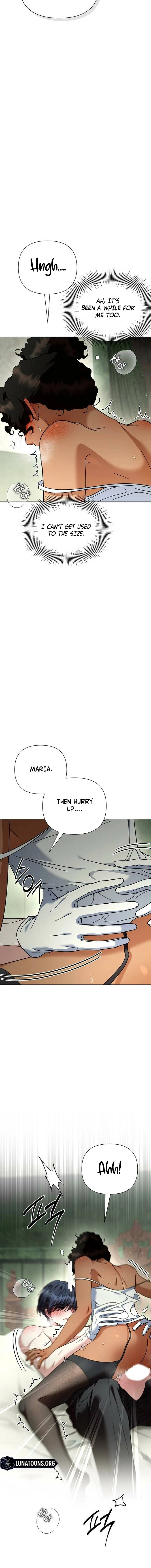 The Tutor