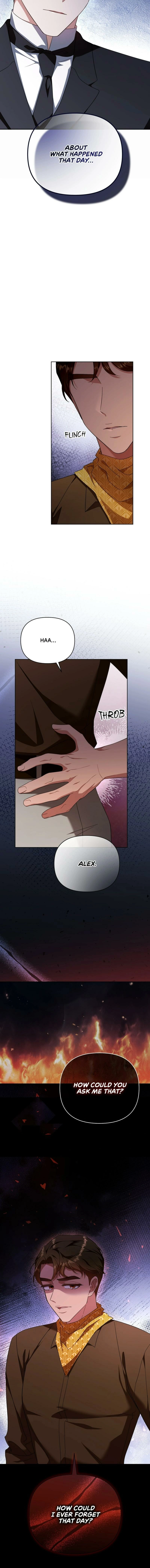 The Tutor