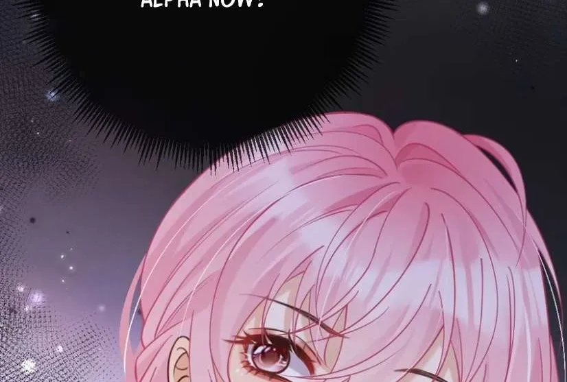 The Two-Faced Heroine is Obsessed with Marking Me Chapter 13 page 15 - 