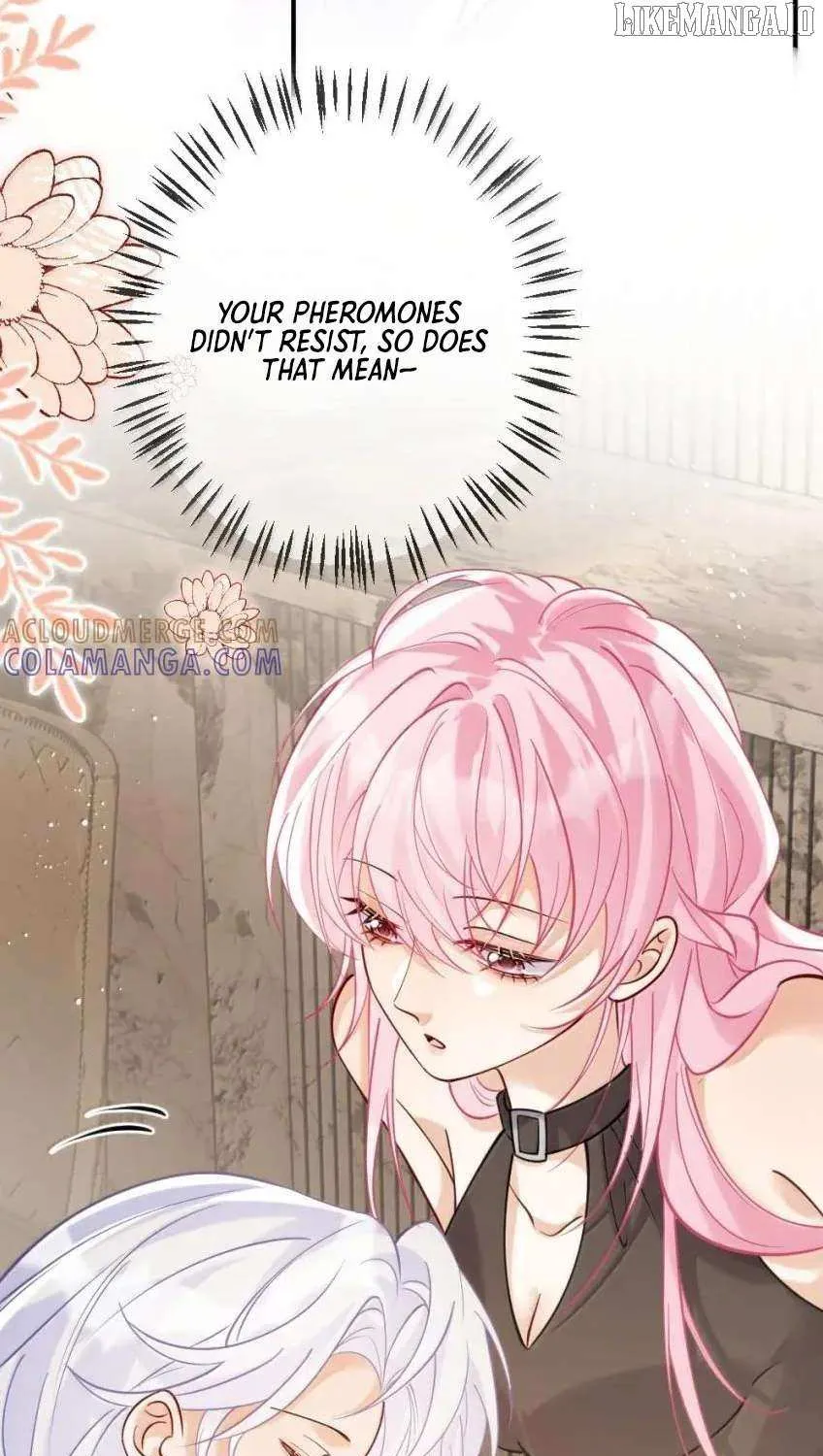 The Two-Faced Heroine is Obsessed with Marking Me Chapter 21 page 38 - 