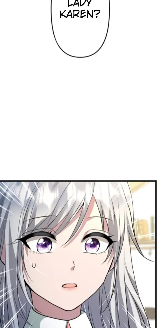 The Two Faced Plundering Princess Chapter 11 page 11 - 