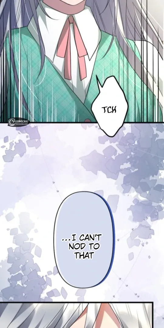 The Two Faced Plundering Princess Chapter 11 page 21 - 