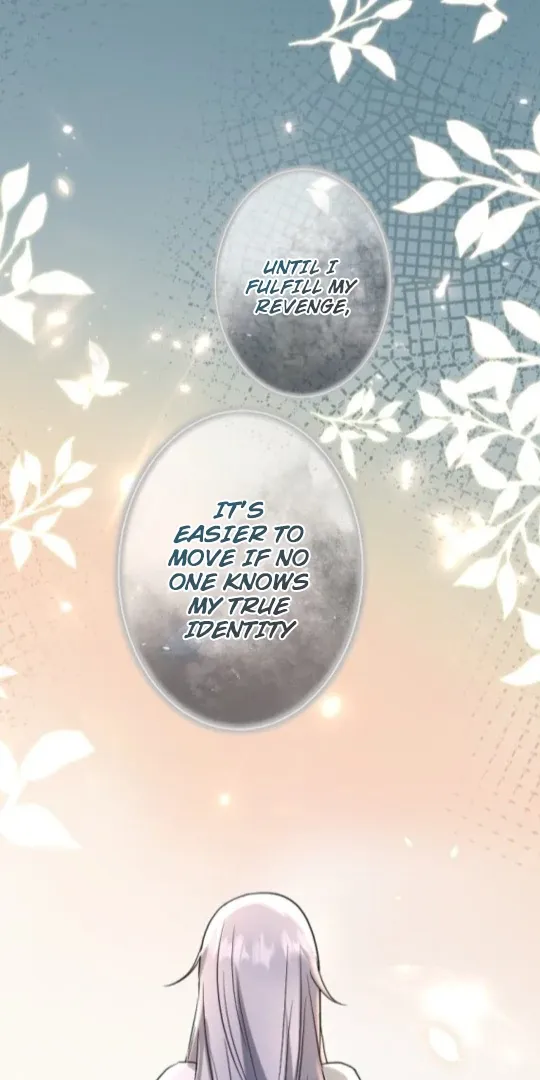 The Two Faced Plundering Princess Chapter 11 page 24 - 