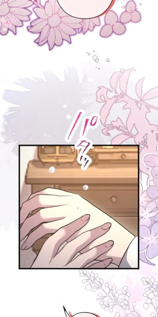 The Two Faced Plundering Princess Chapter 11 page 35 - 