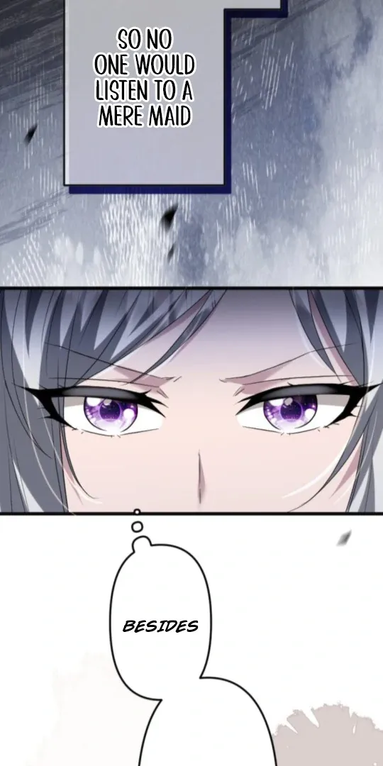 The Two Faced Plundering Princess Chapter 11 page 54 - 