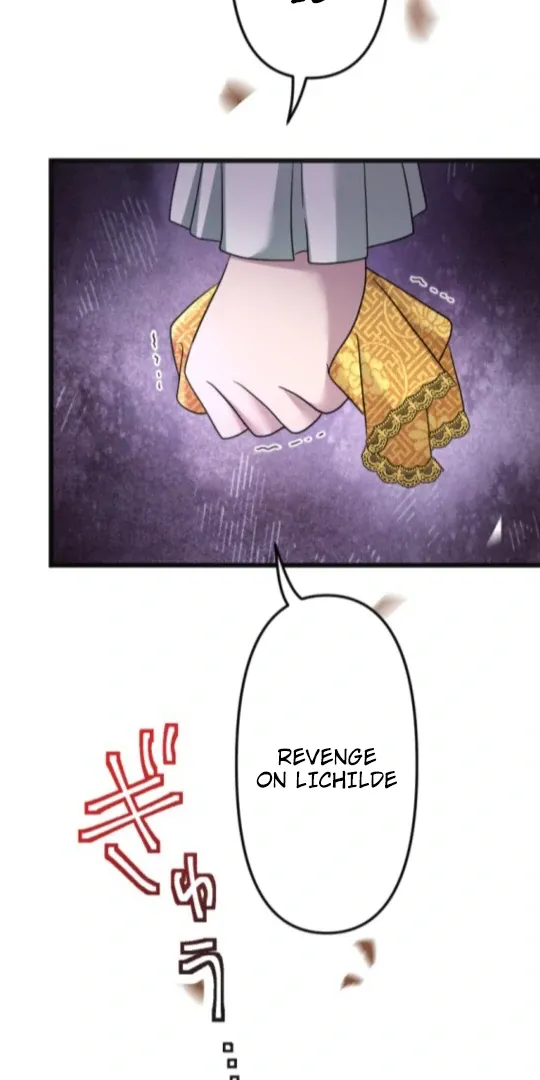 The Two Faced Plundering Princess Chapter 11 page 91 - 
