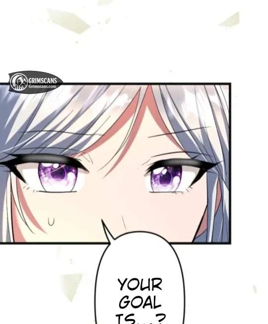 The Two Faced Plundering Princess Chapter 12 page 14 - 
