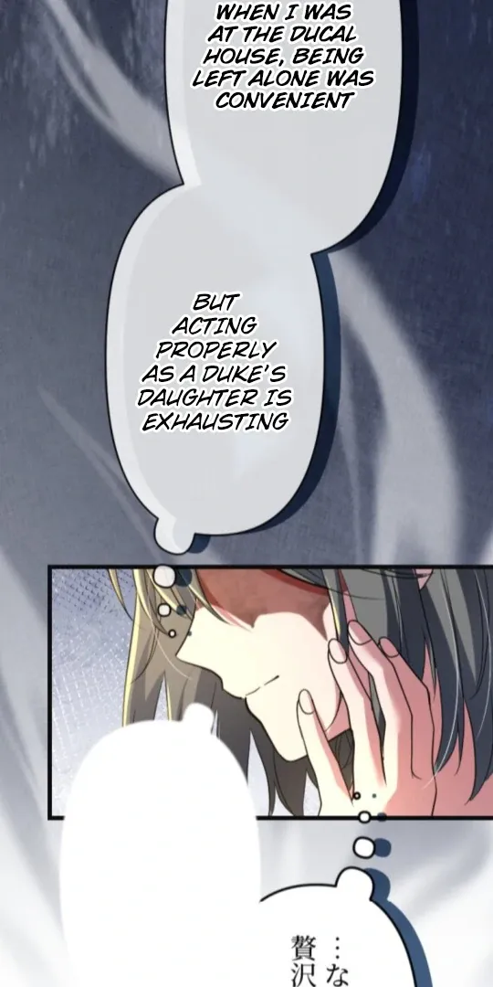 The Two Faced Plundering Princess Chapter 12 page 91 - 