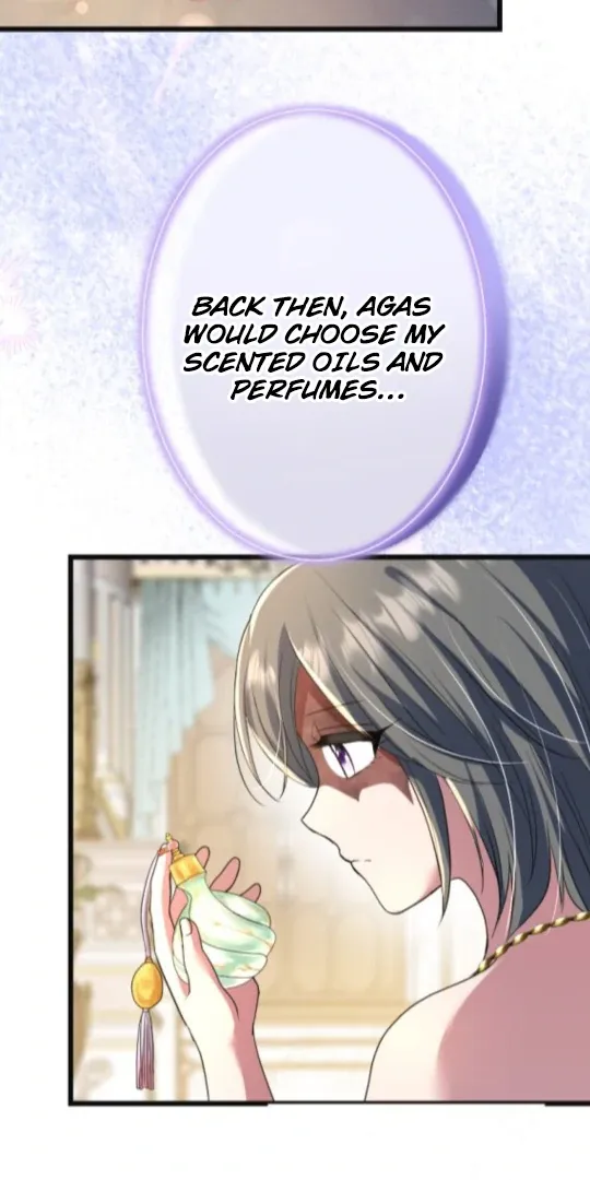 The Two Faced Plundering Princess Chapter 12 page 93 - 