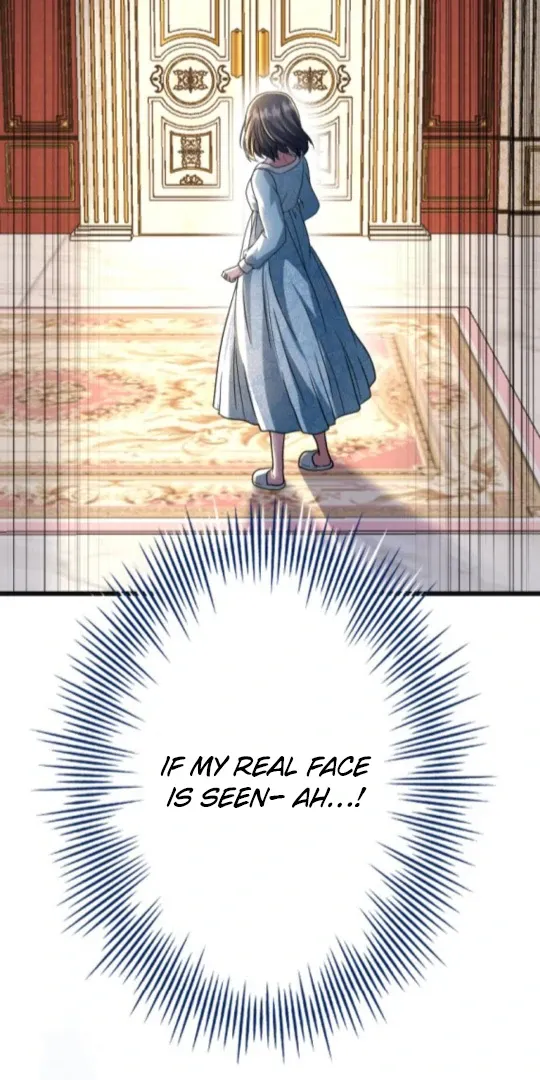 The Two Faced Plundering Princess Chapter 13 page 2 - 