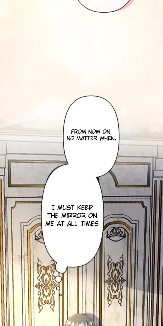 The Two Faced Plundering Princess Chapter 13 page 15 - 