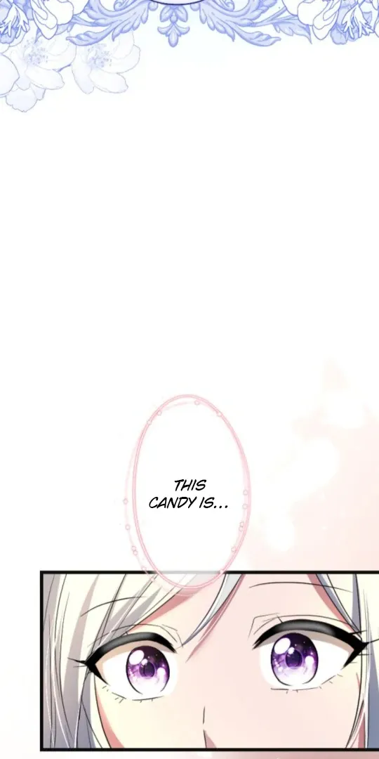 The Two Faced Plundering Princess Chapter 13 page 50 - 
