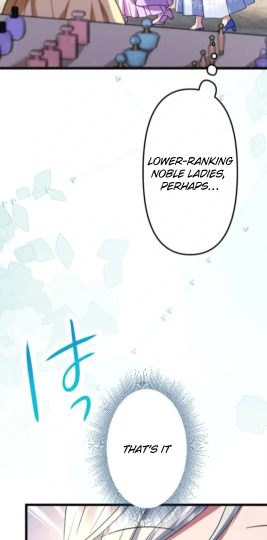 The Two Faced Plundering Princess Chapter 14 page 74 - 