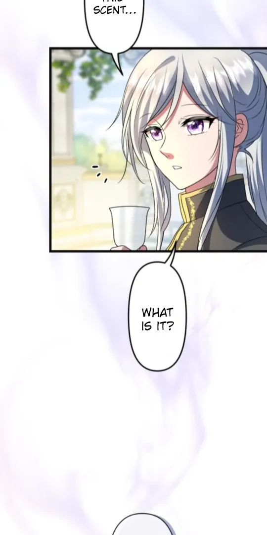 The Two Faced Plundering Princess Chapter 15 page 50 - 