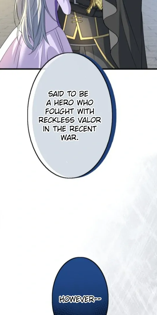 The Two Faced Plundering Princess Chapter 17 page 19 - 