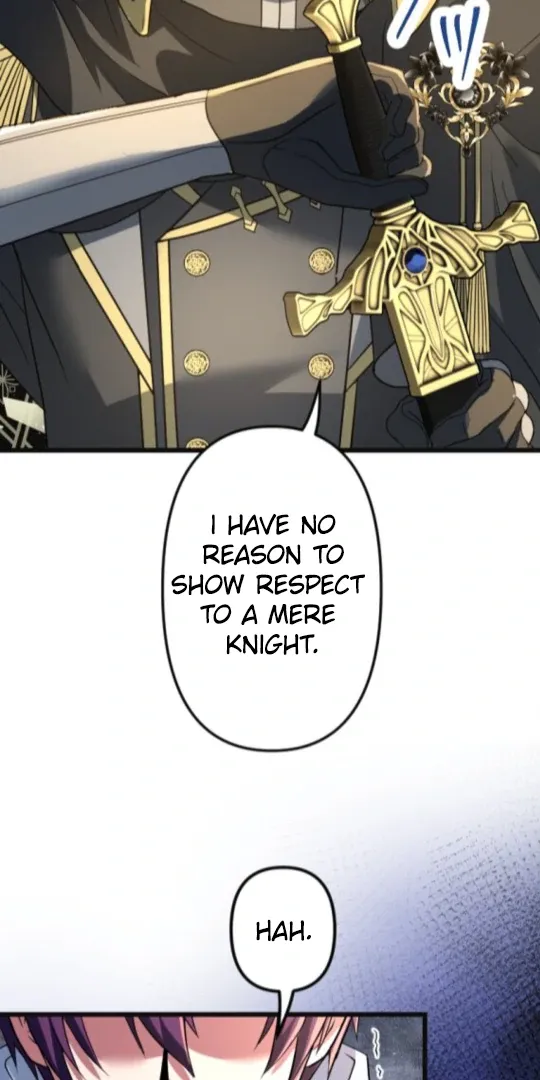 The Two Faced Plundering Princess Chapter 17 page 29 - 