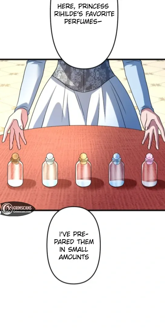 The Two Faced Plundering Princess Chapter 18 page 12 - 