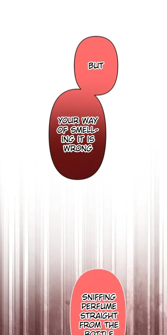 The Two Faced Plundering Princess Chapter 18 page 22 - 