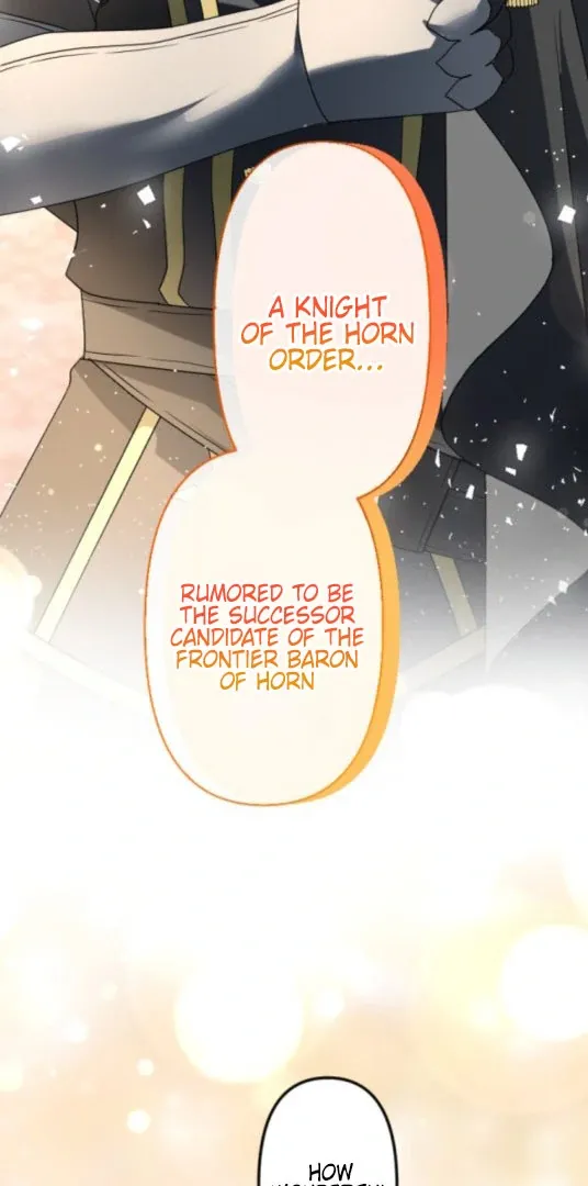 The Two Faced Plundering Princess Chapter 19 page 17 - 