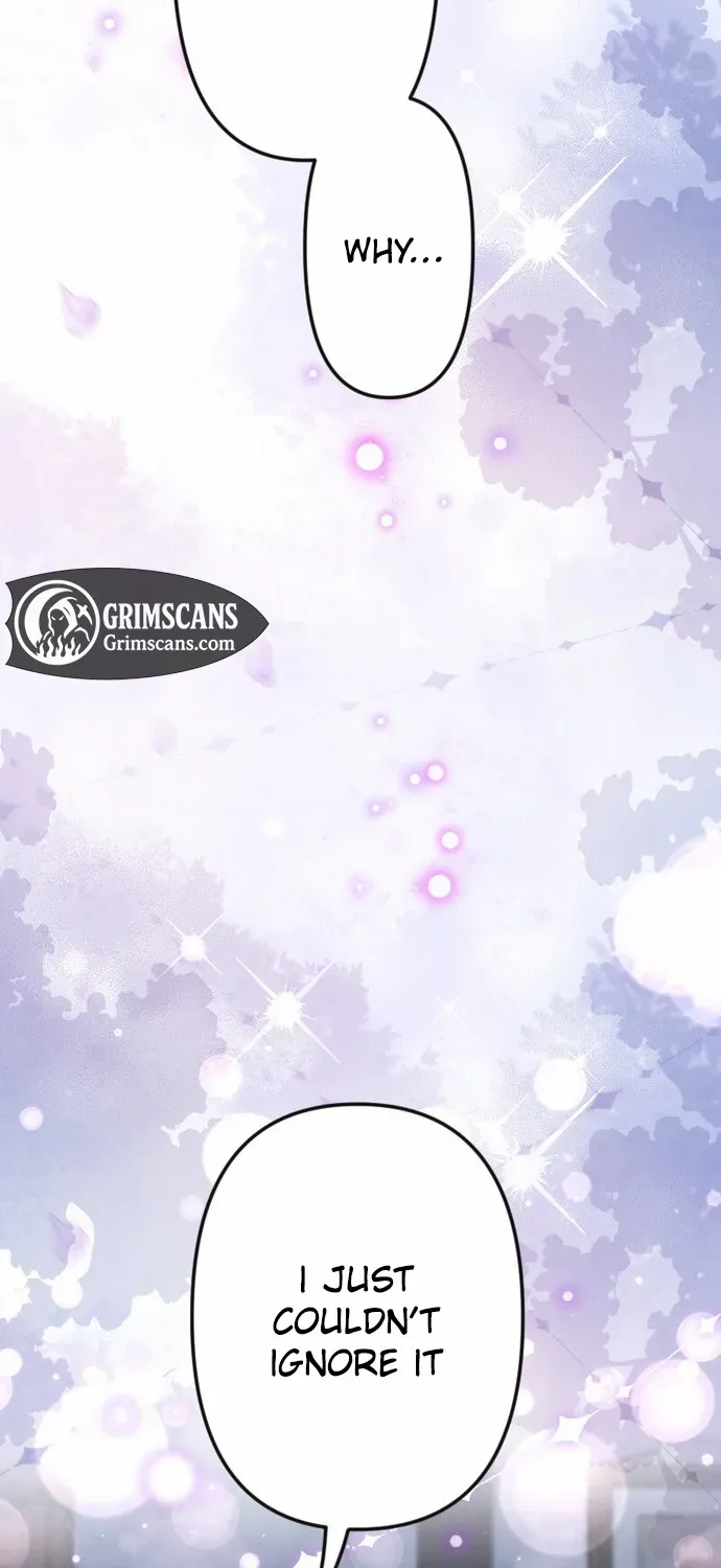 The Two Faced Plundering Princess Chapter 4 page 27 - 