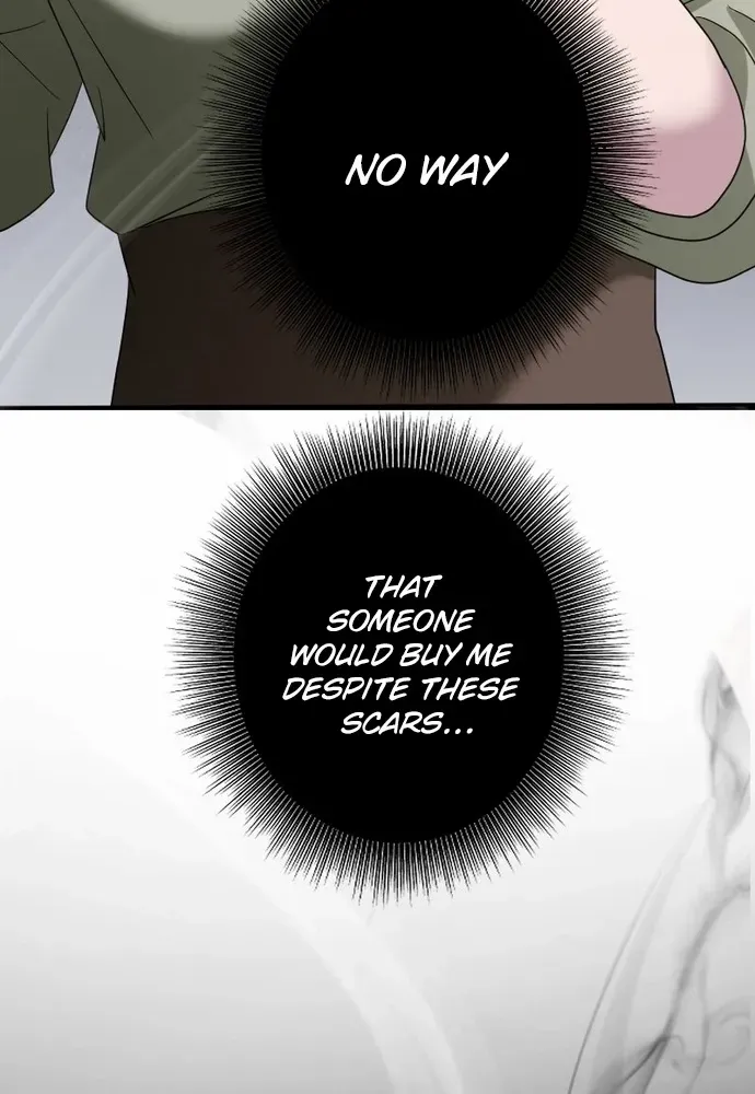 The Two Faced Plundering Princess Chapter 4 page 4 - 