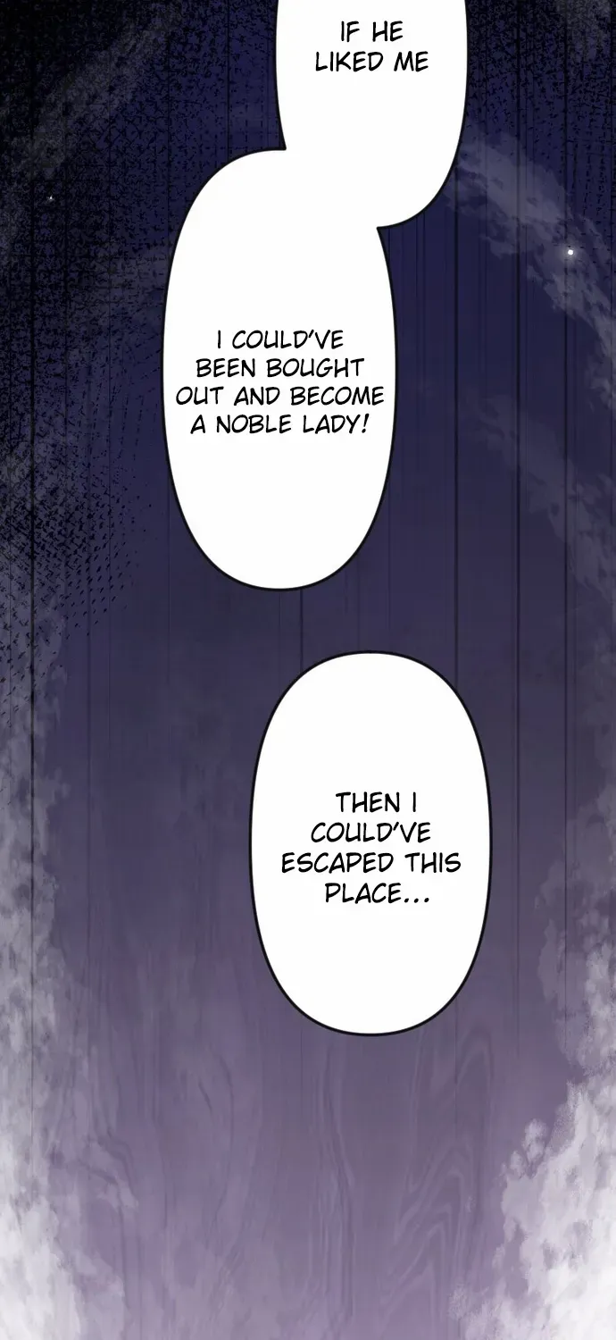 The Two Faced Plundering Princess Chapter 4 page 65 - 