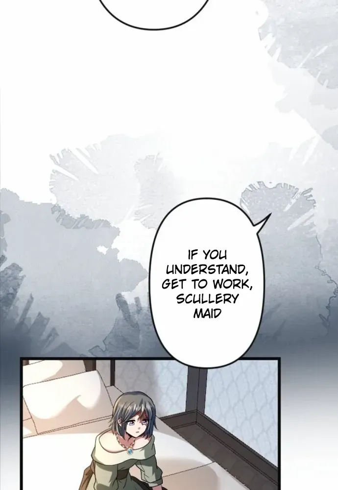 The Two Faced Plundering Princess Chapter 5 page 14 - 