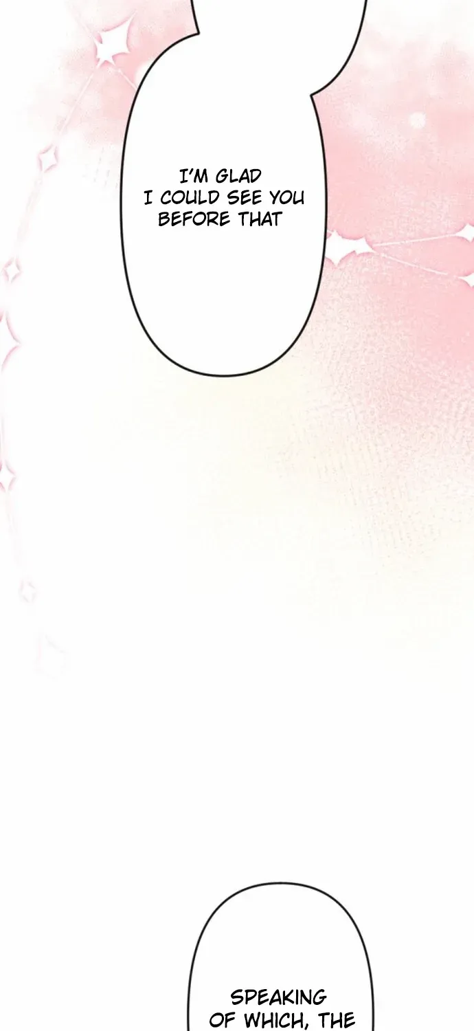 The Two Faced Plundering Princess Chapter 5 page 75 - 