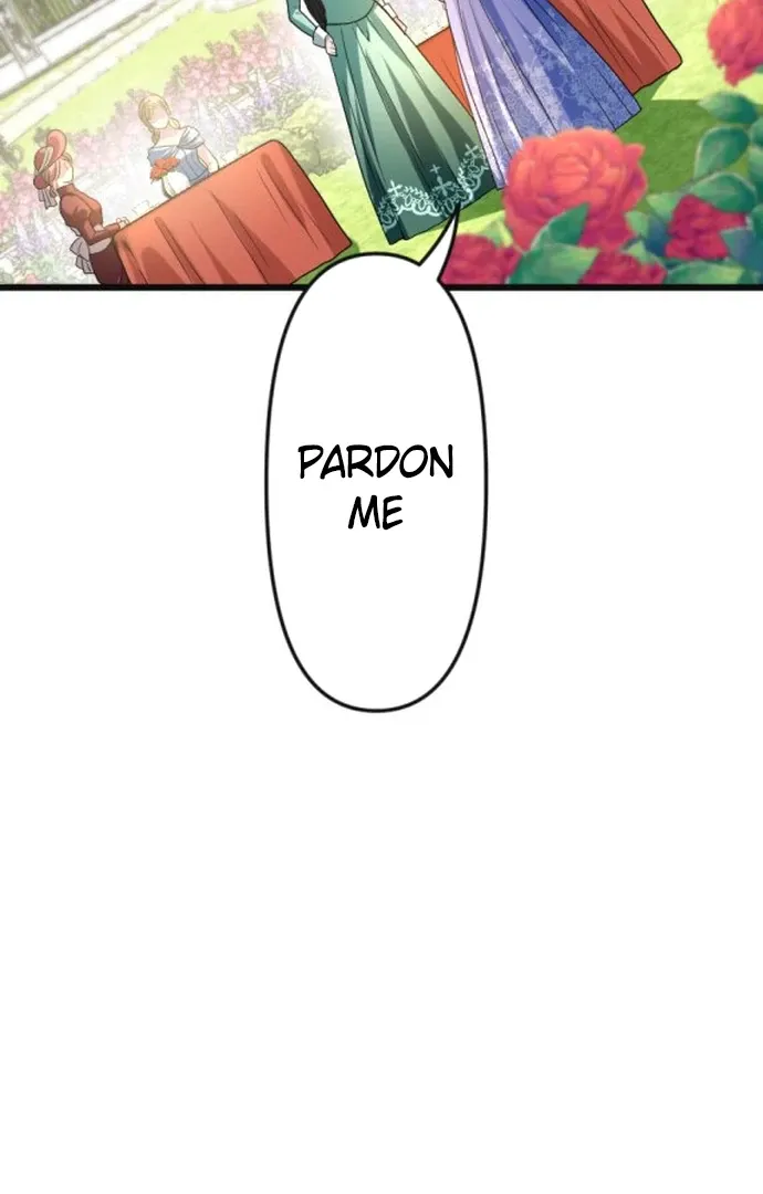 The Two Faced Plundering Princess Chapter 7 page 67 - 