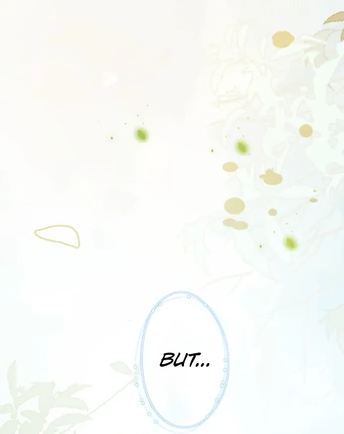 The Two Faced Plundering Princess Chapter 8 page 27 - 