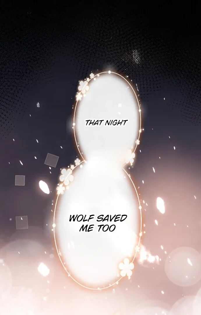 The Two Faced Plundering Princess Chapter 8 page 67 - 