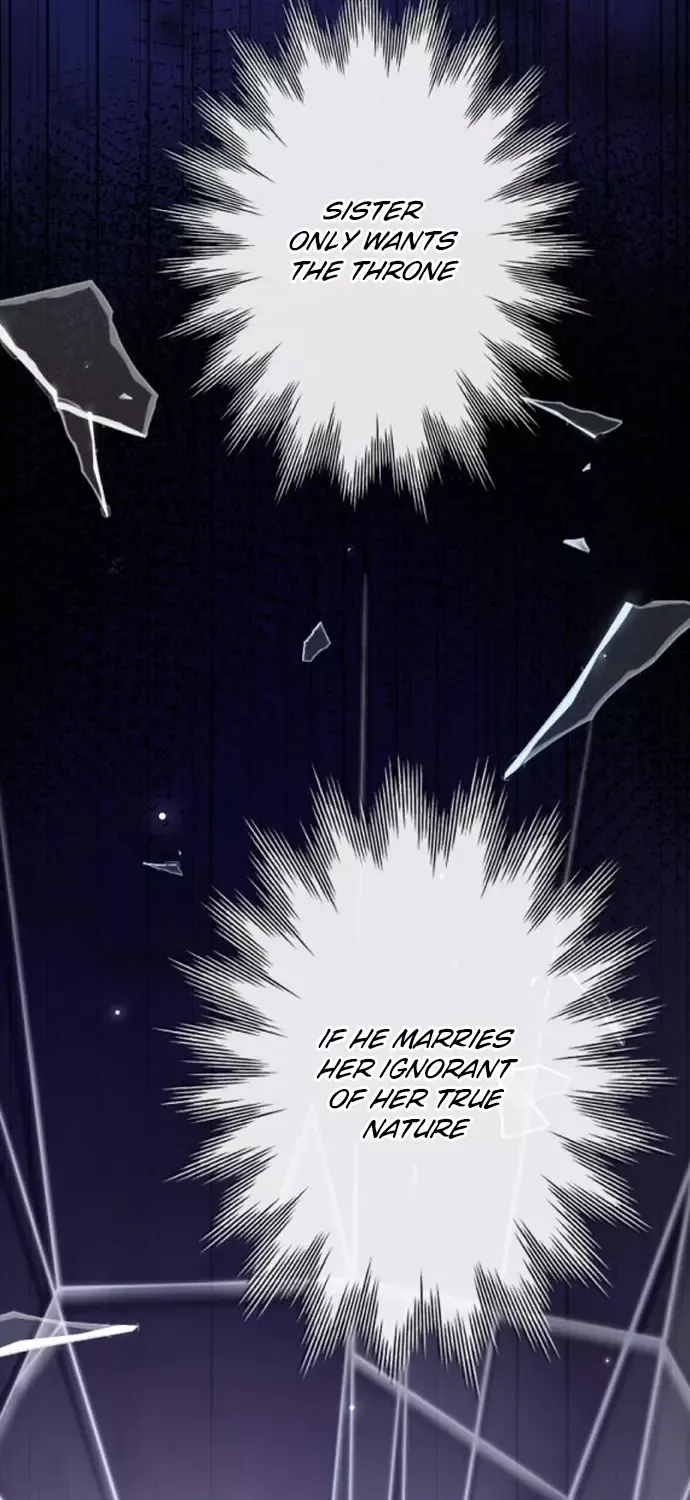 The Two Faced Plundering Princess Chapter 9 page 71 - 
