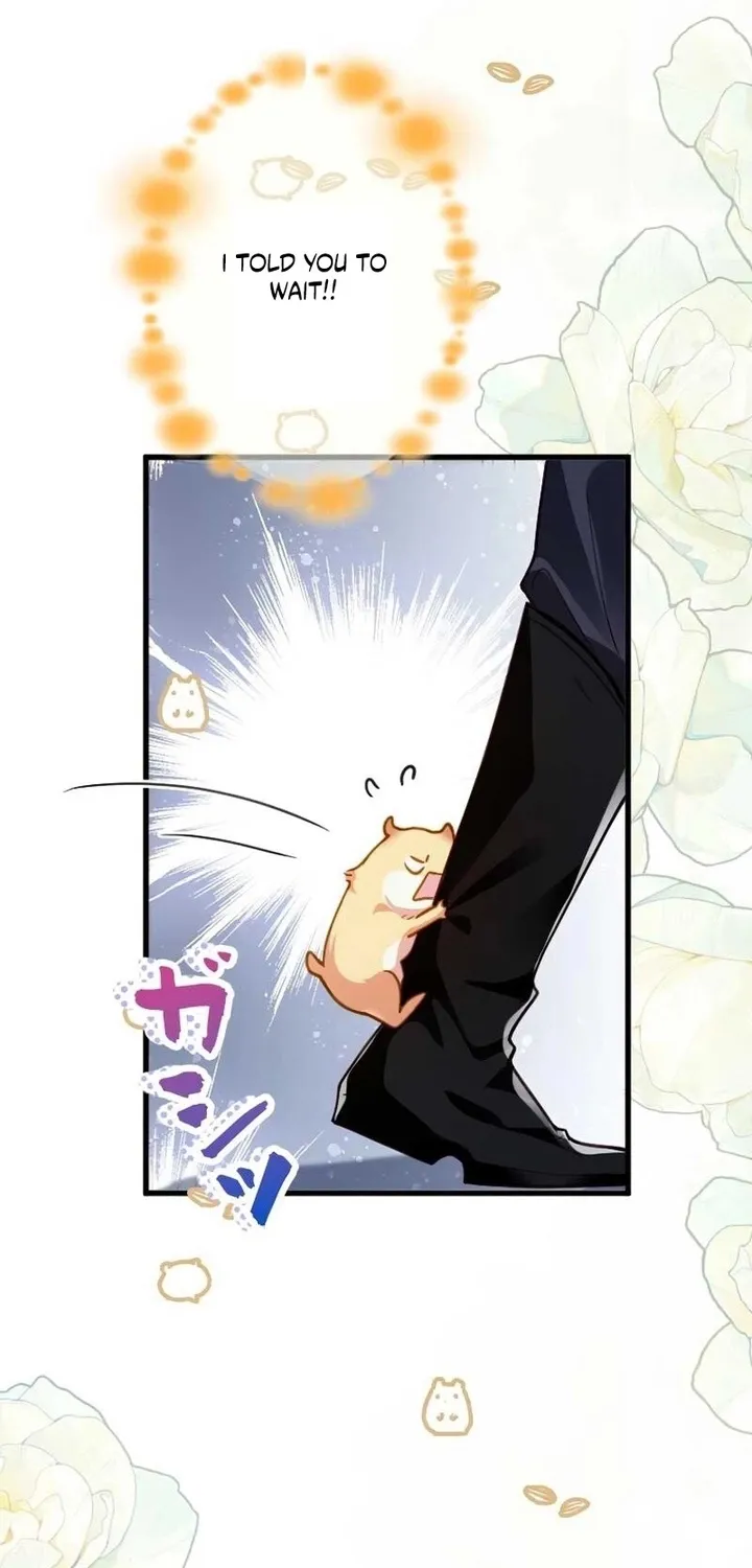 The Tyrant’s Overprotective Contract Mother Chapter 24 page 72 - 