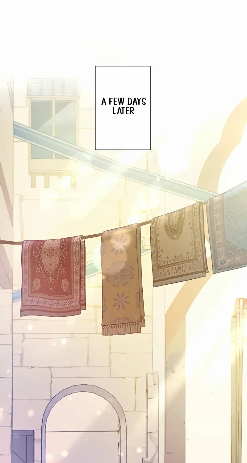 The Unfortunate Bride Is Abducted by the Charming Dragon King Chapter 17 page 29 - 