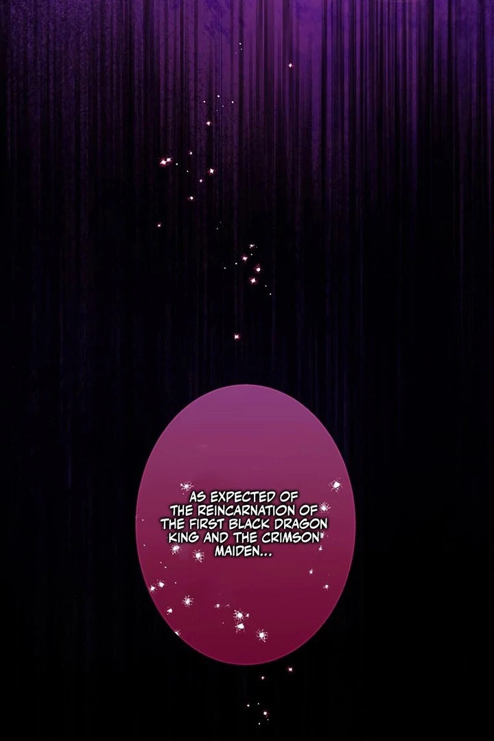 The Unfortunate Bride Is Abducted by the Charming Dragon King Chapter 25 page 92 - 
