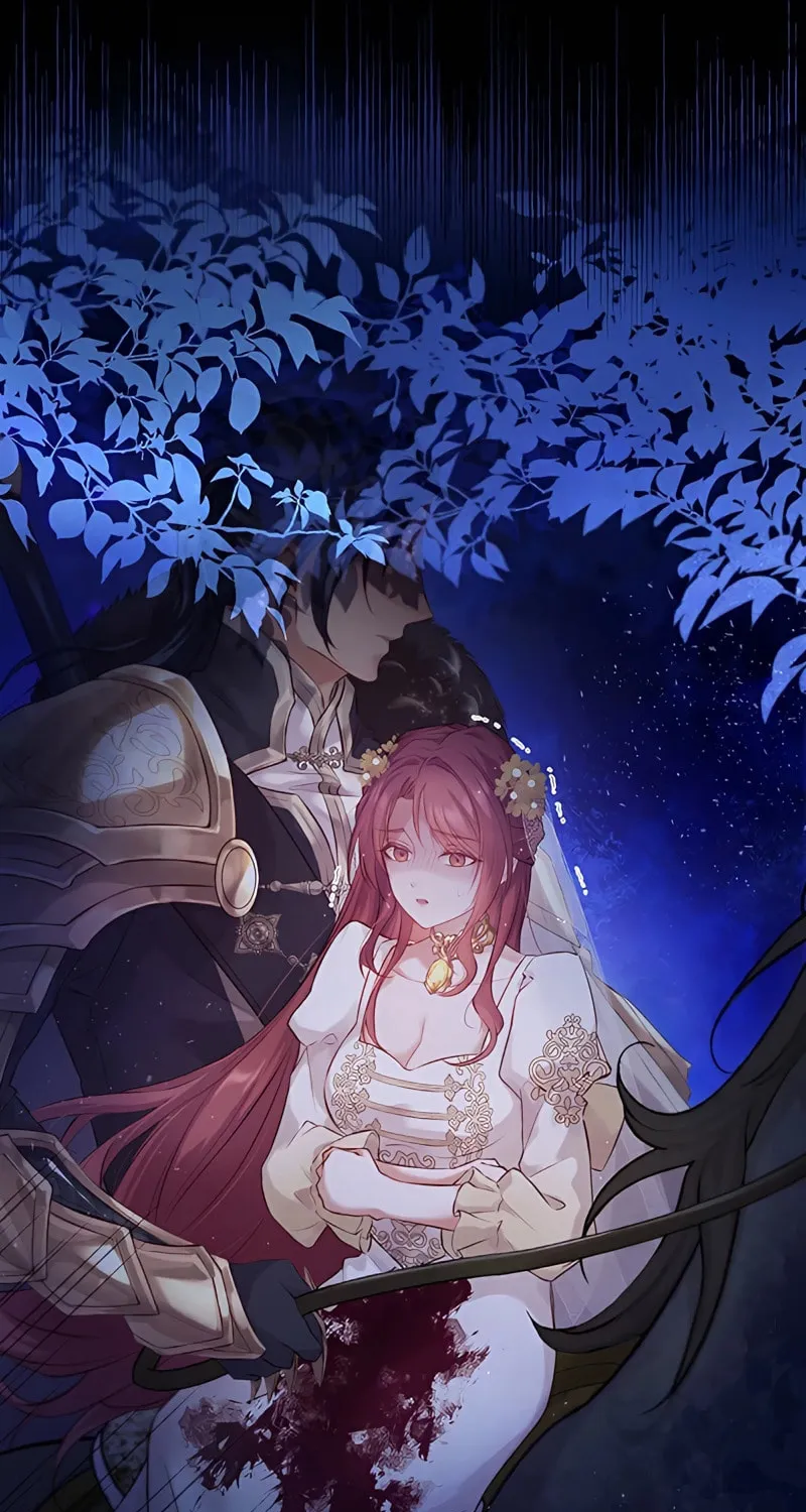 The Unfortunate Bride Is Abducted by the Charming Dragon King Chapter 3 page 49 - 