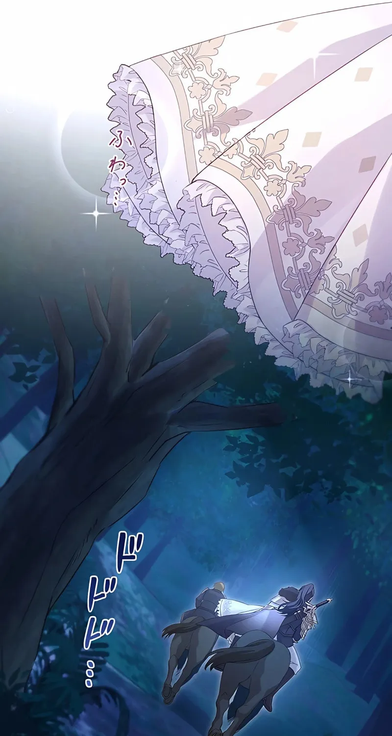 The Unfortunate Bride Is Abducted by the Charming Dragon King Chapter 3 page 66 - 