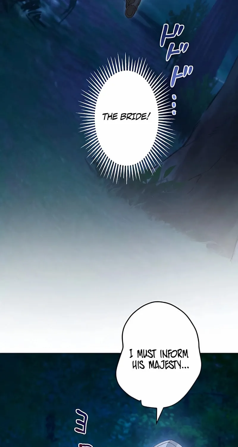 The Unfortunate Bride Is Abducted by the Charming Dragon King Chapter 3 page 67 - 