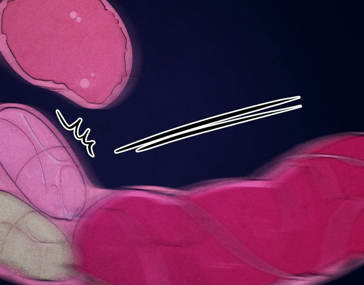 The Unholy Agreement Chapter 4 page 145 - 