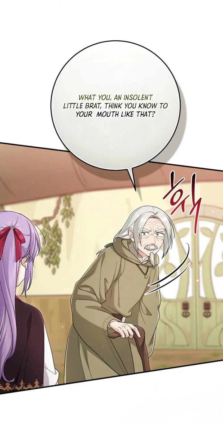 The Unintentionally Ideal Adopted Daughter Chapter 127 page 27 - 