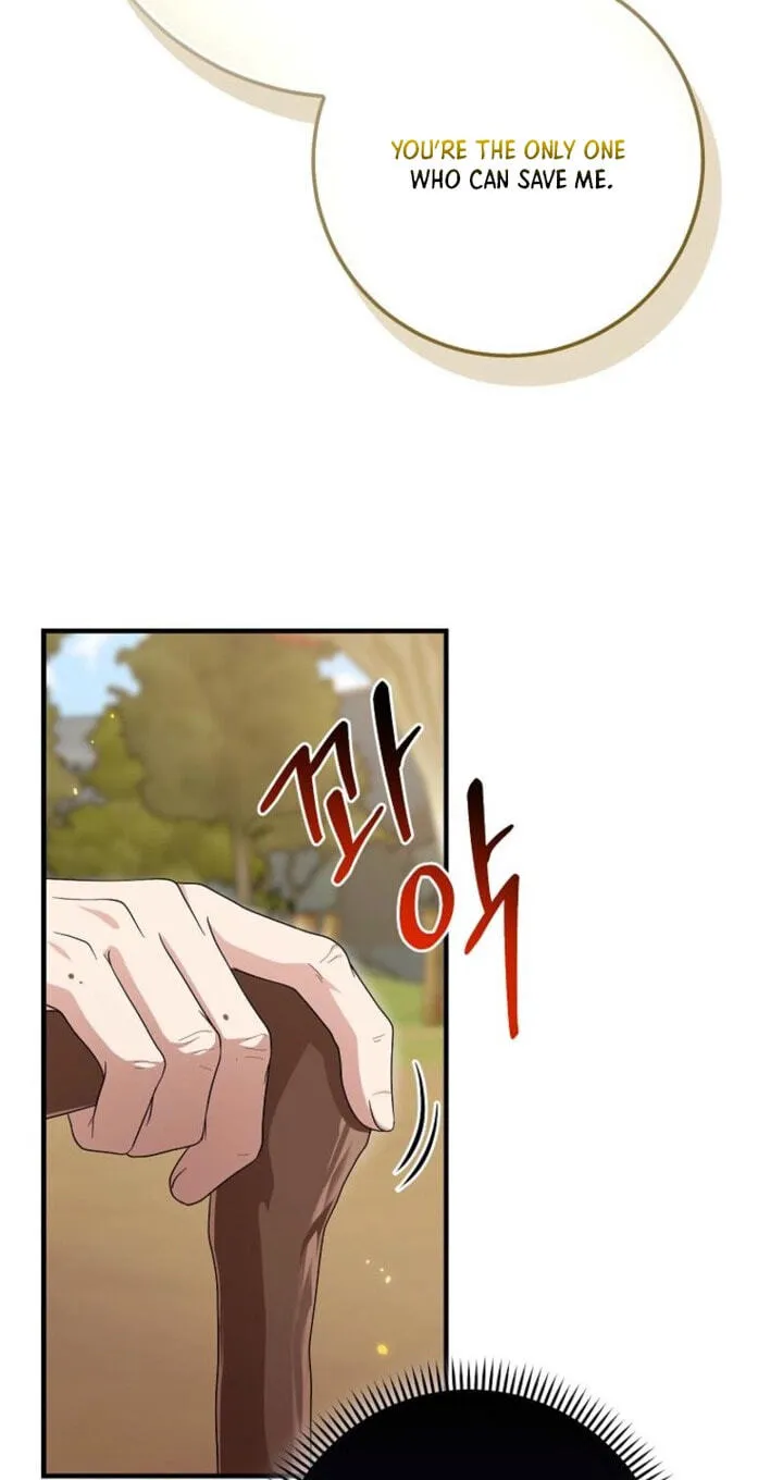 The Unintentionally Ideal Adopted Daughter Chapter 127 page 44 - 