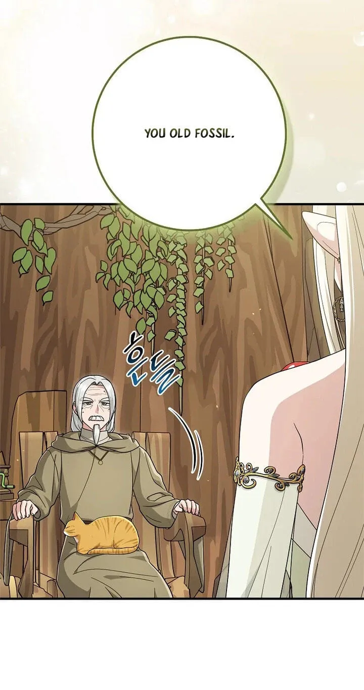 The Unintentionally Ideal Adopted Daughter Chapter 128 page 38 - 