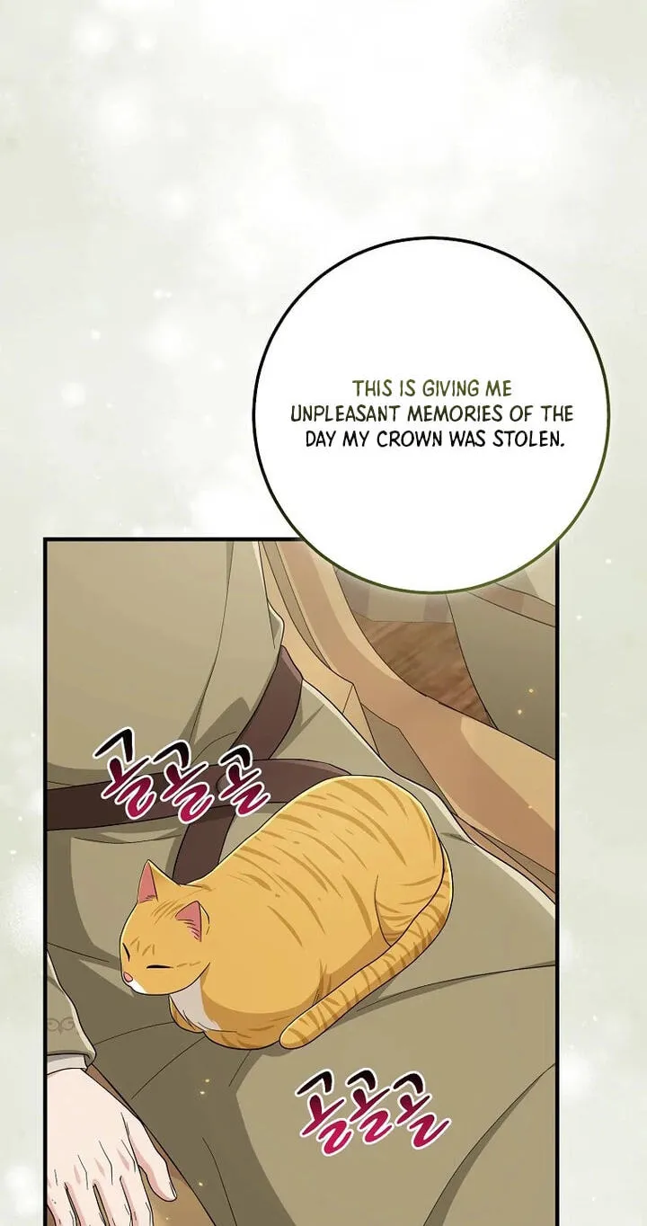 The Unintentionally Ideal Adopted Daughter Chapter 128 page 46 - 