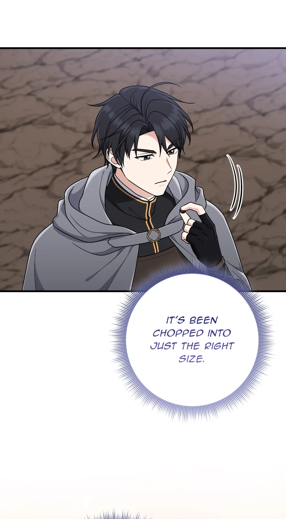 The Unintentionally Ideal Adopted Daughter Chapter 99 page 27 - 