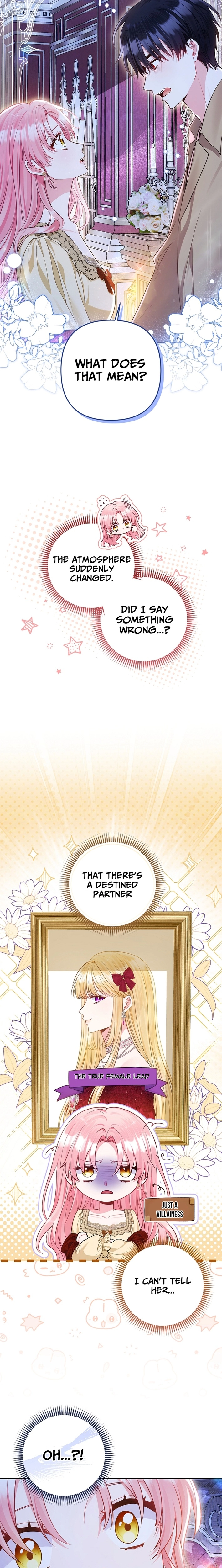 The Unlikely Imprint of the Villainess and the Male Lead Chapter 14 page 19 - 