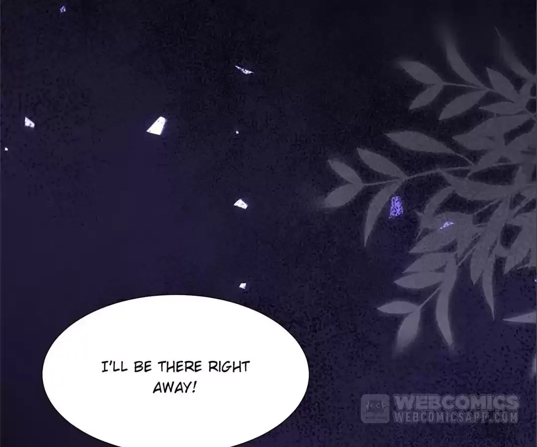 The Unlikely Union with A Comatose Billionaire Chapter 25 page 107 - 