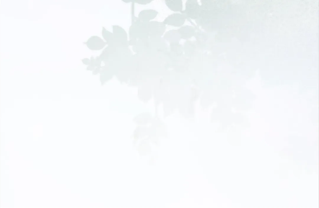 The Unlikely Union with A Comatose Billionaire Chapter 27 page 157 - 
